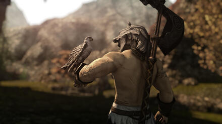 Companion